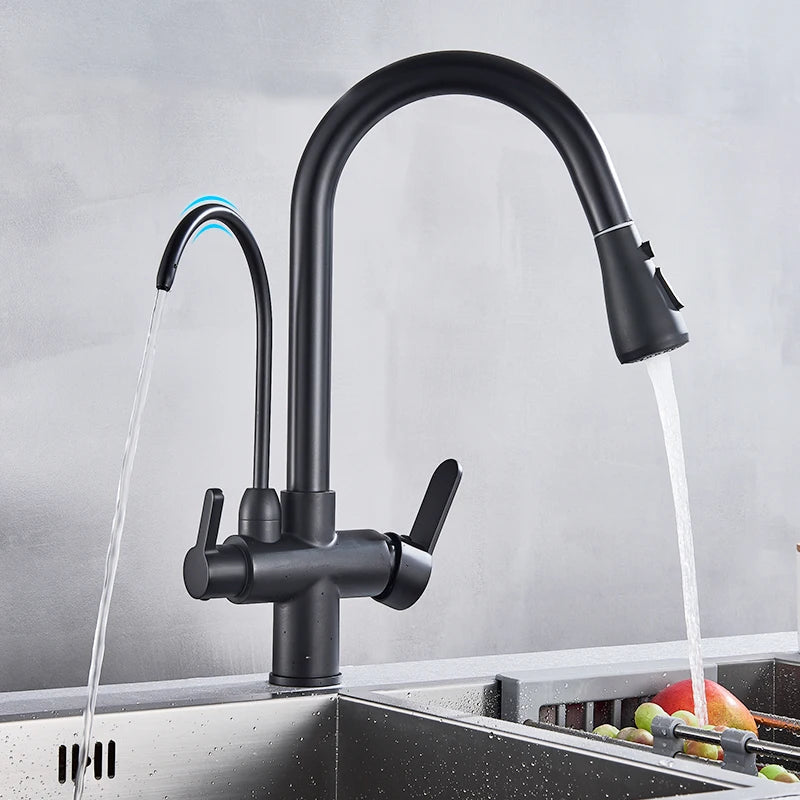 Sleek Black Purification Kitchen Faucet™